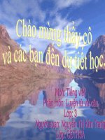 Nguyễn Thị Kim Trang