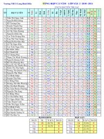 Tổng hợp cuối năm Sáu 2 2010 2011