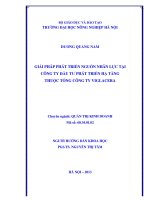 Giải pháp phát triển nguồn nhân lực tại công ty đầu tư phát triển hạ tầng thuộc tổng công ty VIGLACERA 
