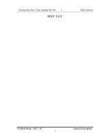 hoàn thiện hạch toán tiền lương và các khoản trích theo lương tại Công ty TNHH Thiết nghệ bị và công nghệ HDN