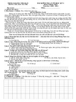 Đề KT Tiếng Việt CKI lớp 5