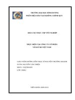 Xây dựng chính sách marketing của công ty cổ phần vinastar việt nam 