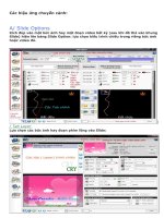 hieu ung chuyen canh