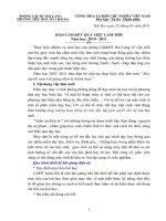 Báo cáo kết quả việc làm mới (2011)