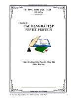 Chuyên đề các dạng bài tập peptit protein