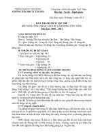 Tóm tắt thành tích 3 Tổ ( 2010 2011)