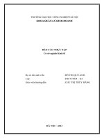 Báo cáo cơ sở ngành kinh tế công ty cổ phần chứng khoán thành phố hồ chí minh 