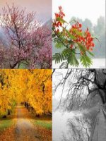 Bài giảng ngữ văn 9 sang thu 