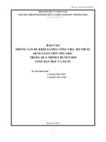 Báo cáo những vấn đề khối lượng công việc, bố trí sử dụng giáo viên tiểu học trong quá trình chuyển đổi sang dạy học cả ngày 