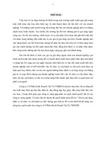 Giá trị gia tăng, định vị, tổ chức và vận hành cơ cấu” thông qua triết lý 3P và mô hình 8S để nâng cao   năng lực cạnh tranh cho công ty Cổ Phần Kinh Doanh Vật Tư THIBIDI