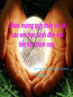 Nguyễn Thị An Thi