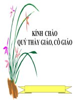 Bài giảng góc nội tiếp GV Phan Thị Tô Hoài