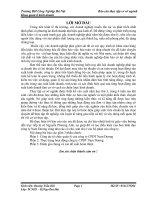 Báo cáo thực tập cơ sở ngành công ty cổ phần đầu tư nam dương 