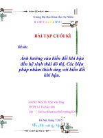 Đề tài ảnh hưởng của biến đổi khí hậu đến hệ sinh thái đô thị  các biện pháp nhằm thích ứng với biến đổi khí hậu