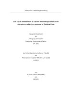 Life cycle assessment of carbon and energy balances in jatropha production systems of burkina faso