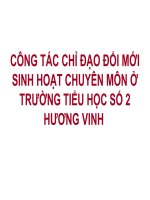 CÔNG TÁC CHỈ ĐẠO ĐỔI MỚI SINH HOẠT CHUYÊN MÔN Ở TRƯỜNG TIỂU HỌC SỐ 2 HƯƠNG VINH