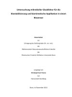 Untersuchung mikrobieller glasbildner für die biostabilisierung und biomimetische applikation in einem biosensor