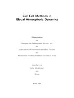 Cut cell methods in global atmospheric dynamics