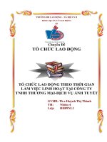 Chuyên Đề Tổ Chức Lao Động – Tổ Chức Lao Động Theo Thời Gian Làm Việc Linh Hoạt Tại Công Ty TNHH Thương Mại Dịch Vụ Ánh Tuyết