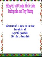 Đề tài: Tìm hiểu về một số loài côn trùng Lứa tuổi: 45 tuổi