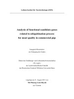 Analysis of functional candidate genes  related to ubiquitination process  for meat quality in commercial pigs