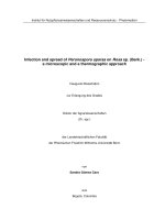 Infection and spread of peronospora sparsa on rosa sp  (berk )   a microscopic and a thermographic approach