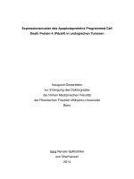Expressionsmuster des apoptoseproteins programmed cell death protein 4 (pdcd4) in urologischen tumoren