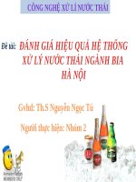 Tiểu luận công nghệ xử lí nước thải: Đánh giá hiệu quả hệ thống xử lý nước thải ngành bia Hà Nội