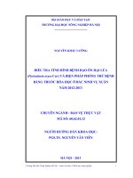 điều tra tình hình bệnh đạo ôn hại lúa (pyricularia oryze cav) và biện pháp phòng trừ bệnh bằng thuốc hóa học ở bắc ninh vụ xuân năm 20122013