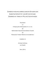 CHEMISCH MOLEKULARBIOLOGISCHE STUDIEN ZUR SUBSTRATSPEZIFITÄT VON KETOSYNTHASE DOMÄNEN IN TRANS AT POLYKETIDSYNTHASEN