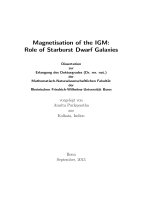 Magnetisation of the IGM role of starburst dwarf galaxies