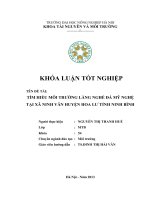 khóa luận tốt nghiệp: TÌM HIỂU MÔI TRƯỜNG LÀNG NGHỀ ĐÁ MỸ NGHỆ TẠI XÃ NINH VÂN HUYỆN HOA LƯ TỈNH NINH BÌNH