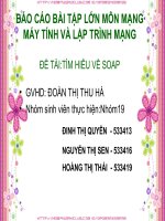Báo cáo bài tập lớn môn mạng máy tính và lập trình mạng tìm hiểu về soap