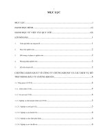 THỰC TRẠNG GIẢI PHÁP PHÁT TRIỂN CÁC DỊCH VỤ HỖ TRỢ TRONG ĐẦU TƯ CHỨNG KHOÁN TẠI XUANTHANH