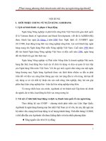 Thực trạng phương thức thanh toán nhờ thu tại ngân hàng Agribank