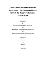 Physikochemische und biochemische mechanismen in der plasmamembran zur kontrolle des clusterverhaltens des t zell rezeptors