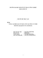 NÂNG CAO HIỆU QUẢ SỬ DỤNG VỐN TẠI CÔNG TY TNHH THƯƠNG MẠI QUỐC TẾ CAO HOÀNG