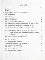 Dị hướng từ và hiện tượng tái định hướng spin trong các hệ vật liệu RFe11 ti