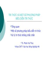 TRI THỨC VÀ MỘT SỐ PHƯƠNG PHÁP BIỂU DIỄN TRI THỨC