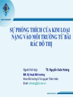 SỰ PHÓNG THÍCH CỦA KIM LOẠI NẶNG VÀO MÔI TRƯỜNG TỪ BÃI RÁC ĐÔ THỊ