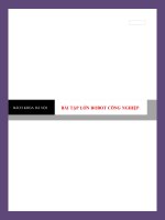 Bài tập lớn robot công nghiệp