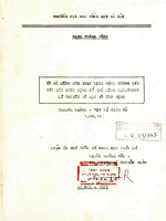Về mô hình hoá các spin linh động tương tác với các spin định xứ (mô hình c l) trong lý thuyết từ học và ứng dụng