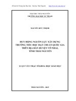 Huy động nguồn nhân lực xây dựng trường tiểu học đạt chuẩn quốc gia trên địa bàn huyện Võ Nhai, tỉnh Thái Nguyên