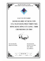 ĐÁNH GIÁ HIỆU SỬ DỤNG VỐN  CỦA NGÂN HÀNG PHÁT TRIỂN NHÀ ĐỒNG BẰNG SÔNG CỬU LONG MHB CHI NHÁNH CẦN THƠ