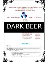 bài tiểu luận tìm hiểu quy trình sản xuất bia đen