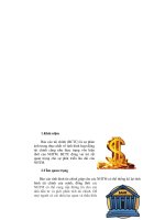 chuyên đề báo cáo tài chính của ngân hàng thương mại