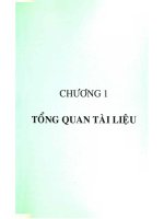 báo cáo thăm quan nhà máy yakult 