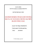 Giải pháp mở rộng tín dụng đối với nông hộ của các ngân hàng thương mại trên địa bàn tỉnh cà mau  luận văn thạc sĩ 2015 