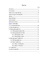 Phân Tích Hoạt Động Tín Dụng Ngắn Tại Ngân Hàng Thương Mại Cổ Phần Kỹ Thương Việt Nam Chi Nhánh Cần Thơ