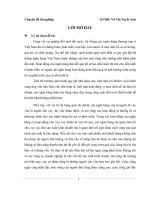 Giải pháp đẩy mạnh hoạt động cho vay tiêu dùng tại Ngân hàng TMCP Việt Á – chi nhánh Tân Bình